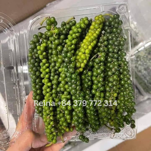 Poivre vert congelé |   Qualité d'exportation du Vietnam - Product Image 5