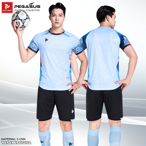Ensemble de maillots de football Pegasus en stock, 100% polyester, séchage rapide, respirant, col rond, manches courtes, impression numérique, taille élastique - Product Image 6
