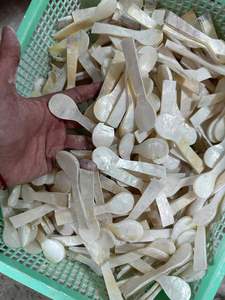 Cuchara para Caviar de Madreperla, Juego de Cucharas Hechas a Mano con Concha Natural para Caviar, Postre, Café, Vajilla de Lujo Ecológica - Product Image 6