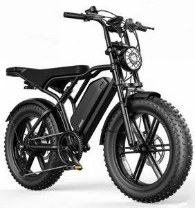 Bicicleta eléctrica de montaña deportiva con neumáticos de nieve Retro 20*4 para el mercado europeo, batería de litio de 48V 15AH, doble suspensión y frenos. - Product Image 1