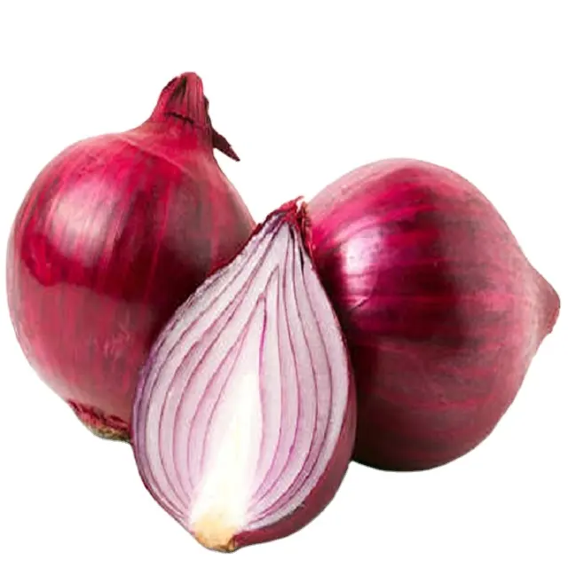 Esportatori di cipolle rosse coltivate organicamente più venduti ai migliori prezzi all'ingrosso esportati dall'india dai migliori fornitori