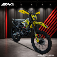 BRZ 300cc 4 Stroke Zongshen Engine Dirt Bike off Road Motorcycle with Electric/Kick Start Over 80km/h Chain Moto Cross