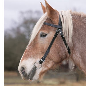 Brida de caballo de cuero genuino negro completo Inglés con diamantes de imitación cristal Bling almohadilla suave diseño brillante cómodo para el caballo - Product Image 4