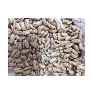 Venta al por Mayor de Frijoles Pinto Secos Naturales, Frijoles Rojos con Motas Púrpuras - Product Image 3