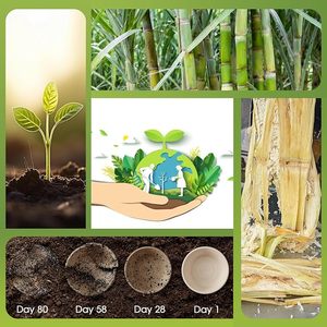 Wholesale Disposable Durable Eco-Friendly Bagasse <b>Microwave</b> Safe <b>Soup</b> Bowls 12 oz for Camping & Parties - Product Image 6