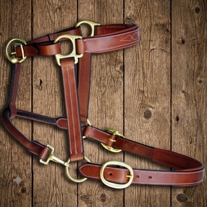 Custom Made Fancy Stitched Brown Premium Leather Horse Halter with Soft Padding and Personalized Brass <b>Name</b> <b>Plate</b> Halter Horse - Product Image 1