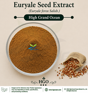Suministro Directo de Fábrica HGO, Extracto de Semilla de Euryale (Euryale ferox Salisb.) Extracto de Grado Alimenticio en Proporciones 4:1 5:1 10:1 20:1 100:1 200:1 - Product Image 1