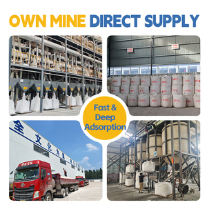 Polvo de <span class=keywords><strong>Clinoptilolita</strong></span> <span class=keywords><strong>Micronizada</strong></span> de Alta Pureza - Grado Alimentario, Adsorbente para Aplicaciones Industriales y Técnicas - Product Image 4