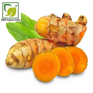 Fabricant et exportateur indien d'huile d'extrait de curcuma CO2 pour produits de soins personnels - Product Image 3