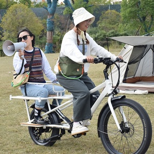 RaiderWagon-602s <span class=keywords><strong>750W</strong></span> 48v 20AH Vélo électrique à gros pneus à batterie Vélos cargo à queue longue Vélo électrique de ville pour les familles - Product Image 6
