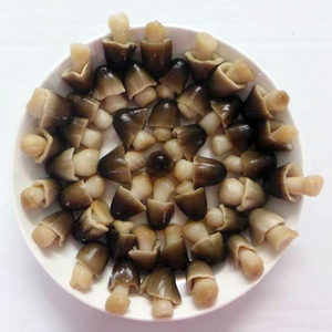Nouveau 2026 Champignons en conserve entiers de qualité supérieure du Vietnam, qualité alimentaire, vente en gros, export, fabricant OEM, marque privée - Product Image 1
