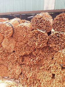 El mejor precio Secado Raw Stick Cassia Cinnamon Vietnam Origin Alta calidad Precio competitivo - Product Image 4