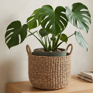 Panier rond en herbe de mer écologique à prix avantageux avec poignées tressées, panier de rangement fabriqué au Vietnam - Product Image 3