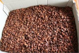 Graines d'herbes séchées d'automne à l'anis étoilé de haute qualité du Vietnam 24 mois de durée de conservation Phalco Vietnam JSC offre spéciale prix bon marché - Product Image 4