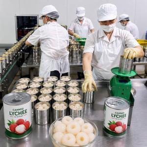 Lichi Enlatado al Mejor Precio al por Mayor, Lichi Pelado Sin Semillas de Alta Calidad en Almíbar para Tiendas de Té con Leche - Product Image 4