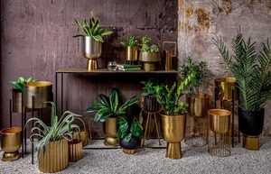 Meilleurs pots à plantes hauts en fer revêtu de poudre, durables et écologiques, pour les coins vides et les espaces modernes - Product Image 1