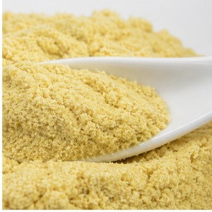 Poudre de peau d'ananas de qualité supérieure, prix compétitif, best-seller, fabriquée au Vietnam, conforme aux normes internationales, emballée sous vide. - Product Image 1