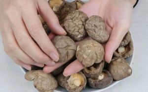 เห็ดหอมแห้งพรีเมียม แหล่งผลิตเวียดนาม - มีจำหน่ายขนาด 2-3 ซม. 3-4 ซม. 4-5 ซม. จำหน่ายแบบขายส่ง - Product Image 4