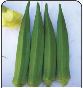 Semillas de Okra Tulsi 99% Puridad 85% Germinación Verde Oscuro - Product Image 1