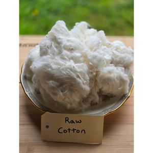 Coton brut 100% biologique de qualité supérieure pour le filage, tissus respirants, écologiques et antibactériens - Product Image 1