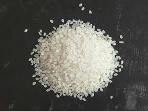 Le riz japonica |   Riz à sushi de qualité supérieure à grains courts |   Année de récolte 2026 |   Durée de conservation de 2 ans |   Exportation mondiale en gros |   VILACONIC VIETNAM - Product Image 3