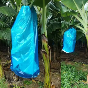 Cubierta Reutilizable Ecológica de Plástico PP No Tejido para Frutas, Protege Bananas, Tomates y Jardines de Invierno - Product Image 6