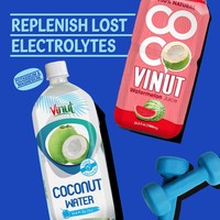 VINUT, à base de plantes, sans OGM, sans sucre ajouté, électrolytes essentiels, grossiste 100% eau de coco pure 1000ml (lot de 24)