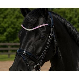 HM Global Premium Elegant U Shaped Multi Color 10 mm Arena Crystal Handmade Horse Browband Luxury Riding Tack - Product Image 2