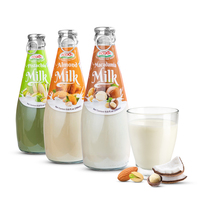 Boisson au lait de macadamia sans lactose 290 ml en bouteille de verre – Protéines saines, végétalien, vente en gros, meilleur prix, boissons nutritives