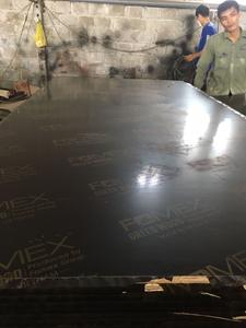 Contreplaqué filmé E0 standard du Vietnam 12mm 15mm 18mm Noir Marron Design moderne pour coffrage de construction - Product Image 5