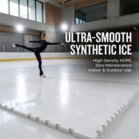 Patinoire de hockey sur glace synthétique pour l'entraînement scolaire, avec équipe de logistique professionnelle et installation de hockey récréatif pour les jardins.