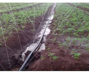 Sistema de Riego Agrícola con Manguera para Cultivos, Manguera Flexible de Calidad de Exportación Hecha en India - Product Image 4