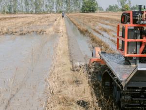 Meilleures ventes d'outils agricoles, machine à faire des sillons, durable et efficace, combinaison parfaite pour l'agriculture, nouvelle vente - Product Image 6