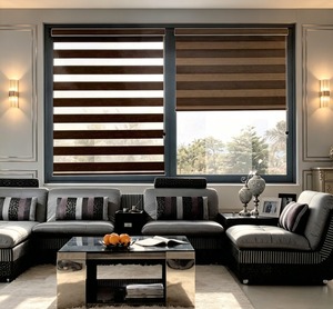 Persiana Zebra Eléctrica Moderna EX04, Cortina de Tela Lisa Integrada con Reducción Automática de Reflejos para Tiendas Minoristas - Product Image 1