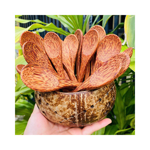 Cucharas ecológicas de madera de coco reutilizables para açaí, ensaladas, postres, vajilla orgánica de madera. - Product Image 1