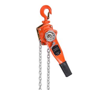 Paranco a Catena Manuale per Carichi Pesanti, Capacità 3/4T/1 tonnellata, Sollevamento 20FT, Acciaio Legato G80, Doppio Blocco Meccanico, Capacità 1650LBS - Product Image 5