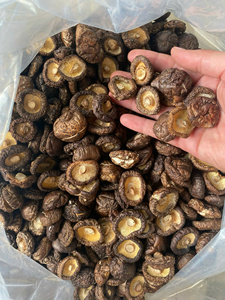 เห็ดแห้งคุณภาพสูงจากเวียดนาม ราคาถูก เห็ดชิตาเกะแห้งแบบขายส่ง - Product Image 5