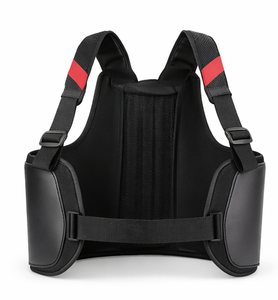 อุปกรณ์ป้องกันกระดูกงูแบบเสริมแผ่นรองรับ Elite Ultimate – อุปกรณ์นิรภัยสำหรับการแข่งรถโกคาร์ท มอเตอร์ไซค์ รถแข่ง และกีฬาเอ็กซ์ตรีม - Product Image 1