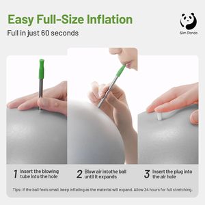 9 Inch Small Pilates Ball Anti-Burst Yoga Stability Workout Ball Core Strength <b>Physical</b> Therapy Exercise Tool Barre Core - Product Image 4