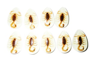 Golden Scorpion Real Specimen Plastic Cabochon Pear Cut <b>Top</b> 46x30 mm Glow Flat Bottom for Crafts and Jewelry Making - Product Image 3