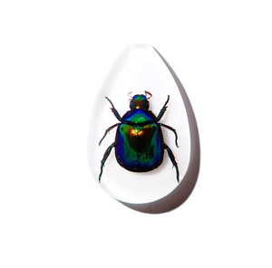 Cabochon en plastique de spécimen réel de scarabée coloré, taille poire, 46x30 mm, blanc, fond plat, pour artisanat et fabrication de bijoux - Product Image 3