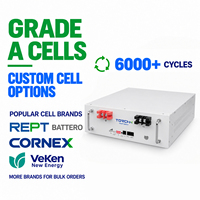 Batterie solaire LiFePO4 TORCHN professionnelle CE 51,2 V 100 Ah 5 kWh à cycle profond longue durée pour équipement de surveillance à distance