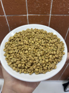 เมล็ดกาแฟลิเบอริก้า ฮันนี่โปรเซส 100% เวียดนาม เกรดพรีเมียม เมล็ดกาแฟดิบ ผลผลิตใหม่ MOQ ต่ำ - Product Image 4