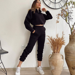 Autumn Winter New Patchwork Color Two Piece Sets Women Zip Long Sleeve <b>Crop</b> <b>Top</b> And Pants Tracksuits Casual Sport Outfits - Product Image 5