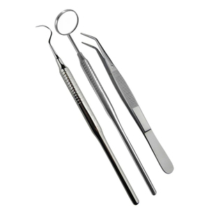 Ensemble d'instruments de diagnostic dentaire professionnels en acier inoxydable, manuel - Product Image 1