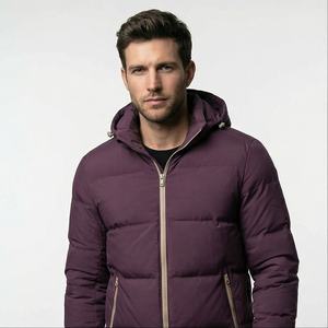 Doudoune personnalisable unisexe pour l'hiver Style exclusif High Street avec col montant et capuche chauffante Mode masculine - Product Image 1