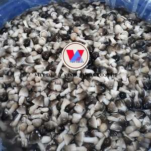 ผู้ผลิตเห็ดฟางกระป๋องเวียดนามสำหรับผู้นำเข้าระดับโลก |   ผู้ส่งออกเห็ดหลอดกระป๋อง OEM อายุการเก็บรักษายาวนานจากเวียดนาม - Product Image 6