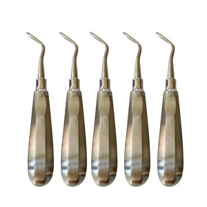 <b>Electric</b> Stainless Steel Dental Tooth Extraction Luxating Lift Elevator Curved Root Surgical <b>Instrument</b> CE ISO By Grip Surgical - Product Image 5