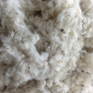 ผ้าฝ้ายลิคเกอริน 100% แบบ B/Card Fly/Flat Strip Cotton Waste Raw Pattern ป้องกันแบคทีเรีย เป็นมิตรกับสิ่งแวดล้อม ขนาด 18-21 ซม. สำหรับการปั่นด้าย - Florence - Product Image 4