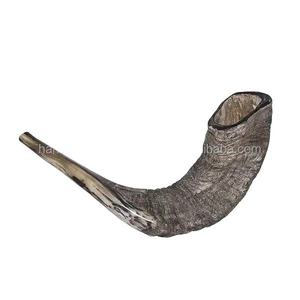 Shofar de Cuerno de Carnero Natural de Alta Calidad Hecho a Mano, Pulido, Estilo Animal, Náutico, Impermeable, Arte Coleccionable, Decoración del Hogar - Product Image 1